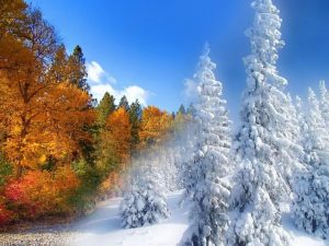 Fall Winter Background Wallpaper Fall Winter Wallpaper - New Jersey Isn't  Boring