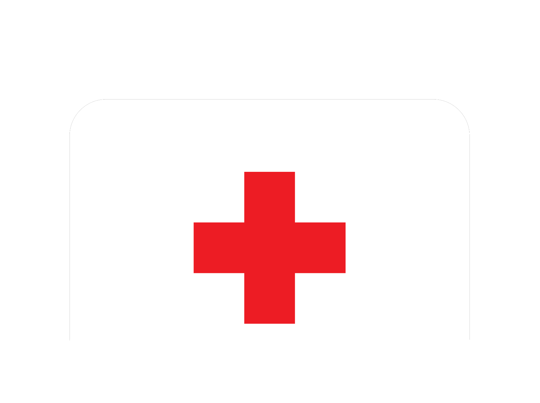 Nurse's bag